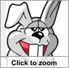 Bunny Cartoon